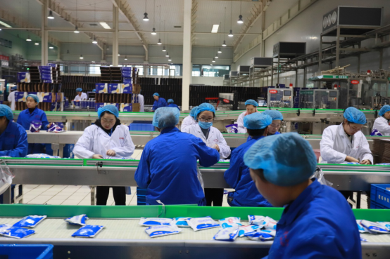 黨員帶頭赴一線 助力春節保生產—花花牛別樣“生產突擊隊”助力車間生產 黨員帶頭赴一線 助力春節保生產—花花牛別樣“生產突擊隊”助力車間生產