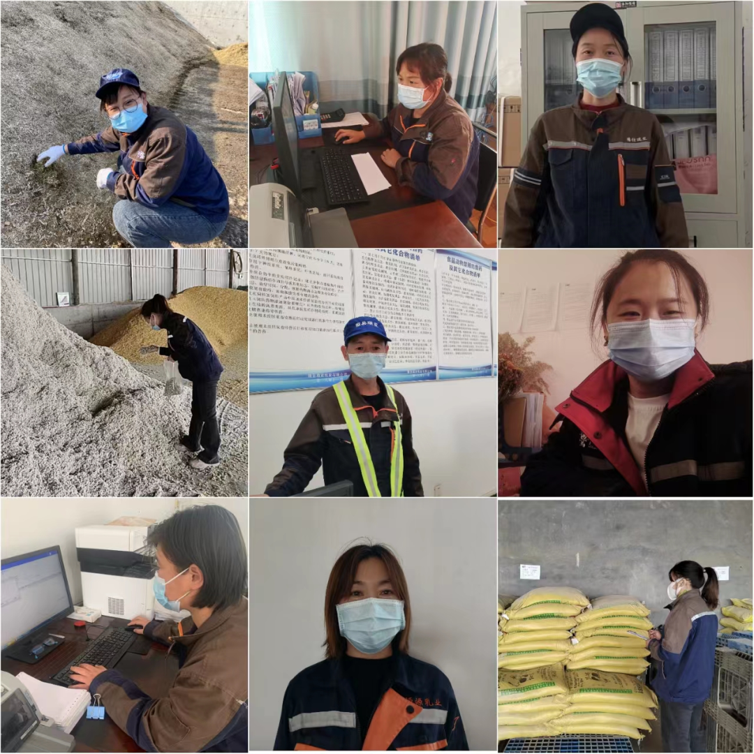 花花牛丨點點微光匯星河——養(yǎng)殖事業(yè)部抗疫保生產側記 花花牛丨點點微光匯星河——養(yǎng)殖事業(yè)部抗疫保生產側記