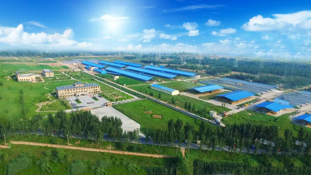 喜訊 | 花花牛一座自有牧場入選河南省“DHI測定優秀牧場” 喜訊 | 花花牛一座自有牧場入選河南省“DHI測定優秀牧場”