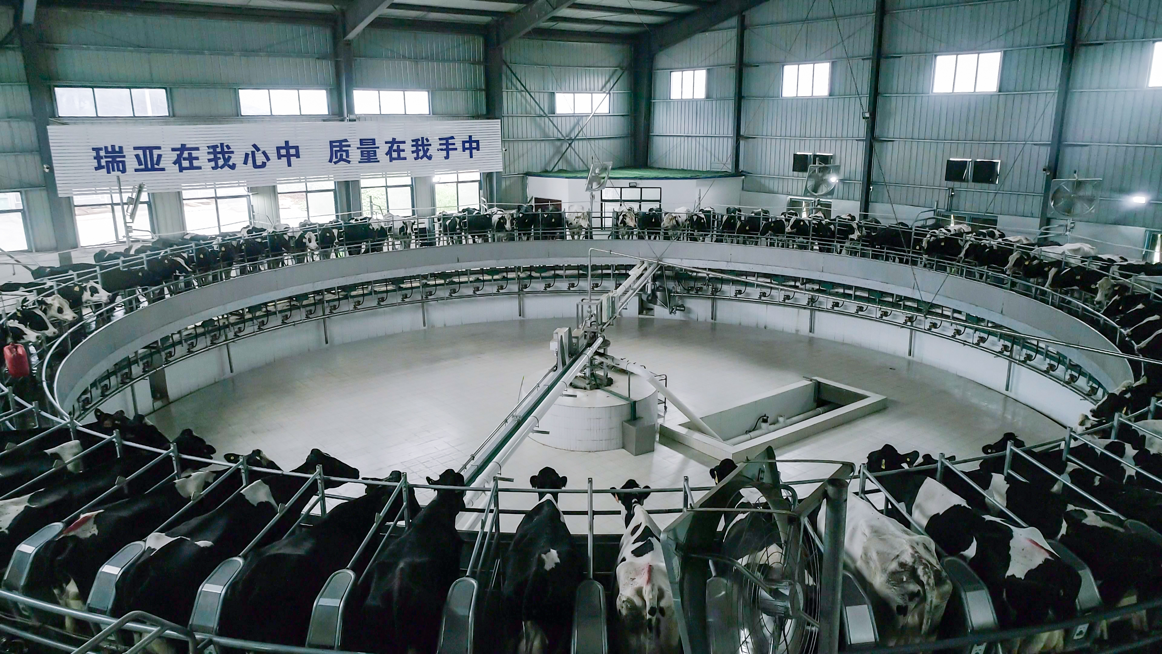 花花牛兩座自有牧場入選 河南省農業農村廳2021年度畜禽養殖標準化示范場