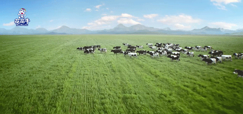 快訊 | 2020河南民營企業(yè)100強(qiáng)發(fā)布 花花牛榮獲“河南民營企業(yè)現(xiàn)代農(nóng)業(yè)100強(qiáng)”、“河南民營企業(yè)社會(huì)責(zé)任100強(qiáng)”雙榮譽(yù)