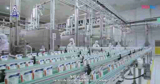 快訊 | 湖北省農業廳副廳長王海濤等領導一行蒞臨河南花花牛乳業集團參觀調研