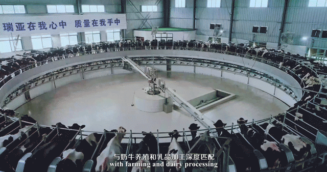 快訊 | 河南省委常委、省紀(jì)委書記、省監(jiān)委主任任正曉蒞臨花花牛乳業(yè)集團(tuán)新蔡瑞亞牧場調(diào)研