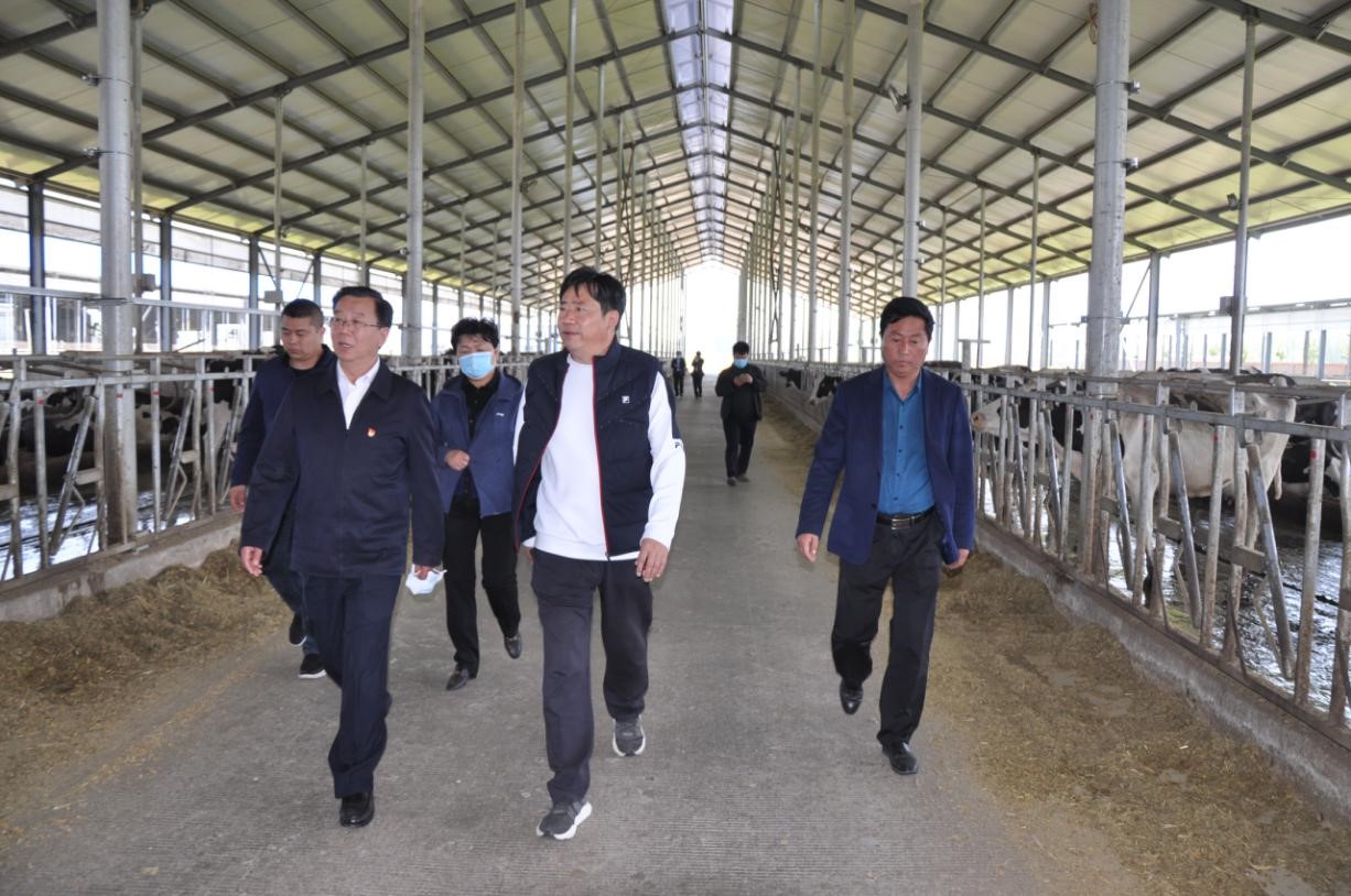 商丘市委常委、宣傳部部長王全周一行蒞臨睢縣瑞亞牧業有限公司調研