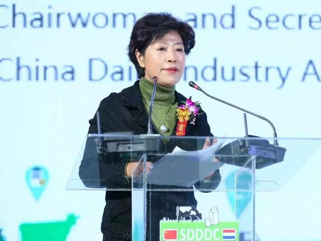 SDDDC走進河南，看看花花牛的國際范兒！