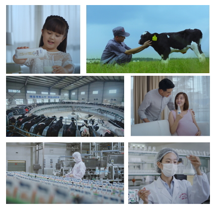 花花牛亮相中國(guó)奶業(yè)20強(qiáng)呼倫貝爾峰會(huì)，共話中國(guó)奶業(yè)振興！