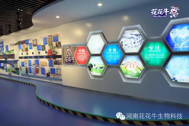 花花牛：務實、創新領潮市場 大企業體現大擔當